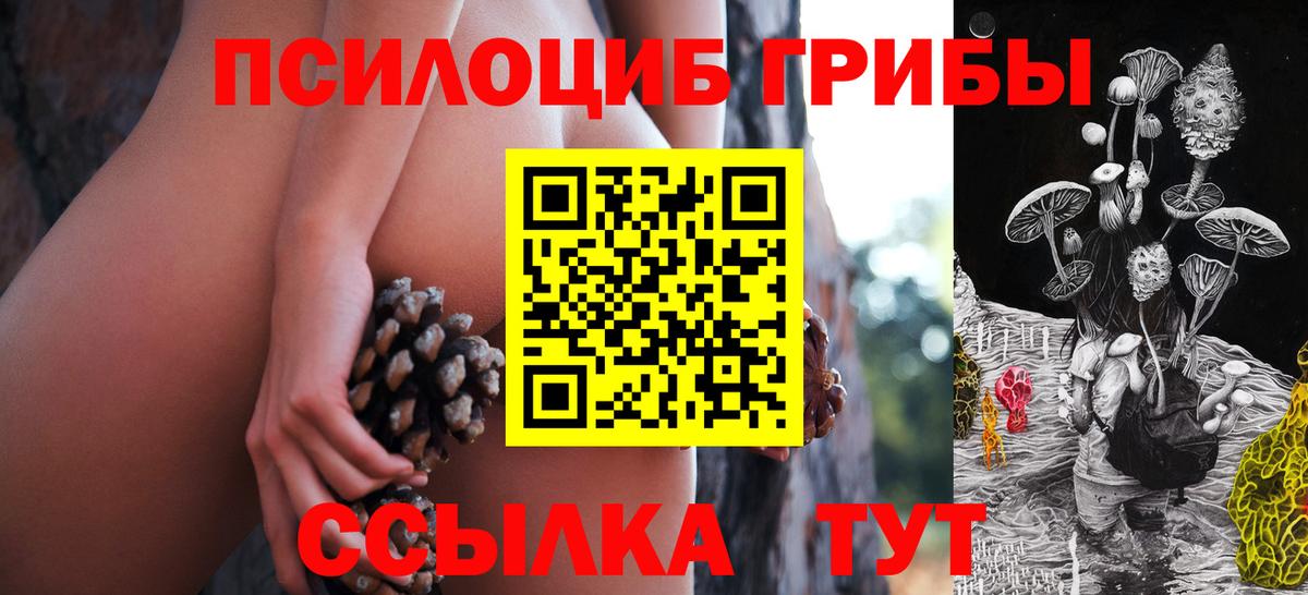 Псилоцибиновые грибы MAGIC MUSHROOMS  как найти закладки  Южноуральск  Вход с VPN 